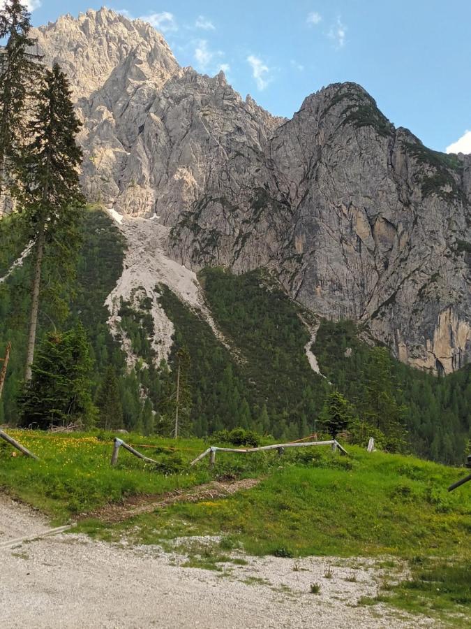 Appartamenti Patrizia San Pietro di Cadore Exteriér fotografie