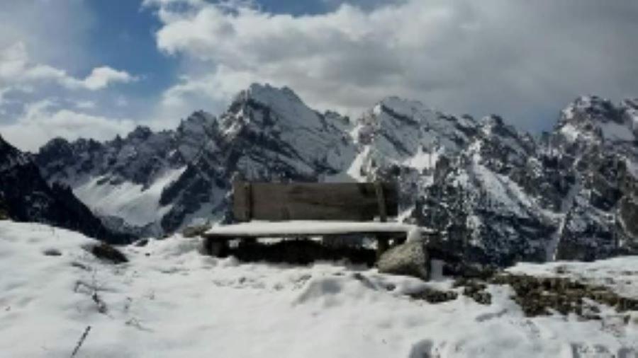 Appartamenti Patrizia San Pietro di Cadore Exteriér fotografie
