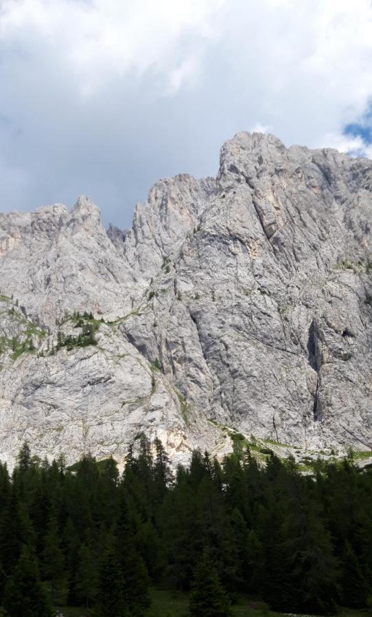 Appartamenti Patrizia San Pietro di Cadore Exteriér fotografie