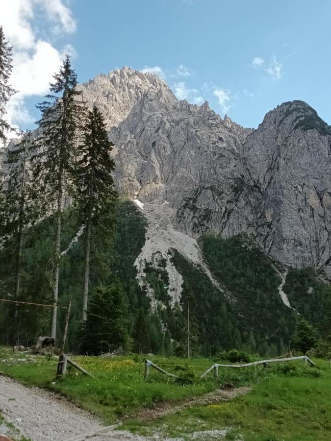 Appartamenti Patrizia San Pietro di Cadore Exteriér fotografie
