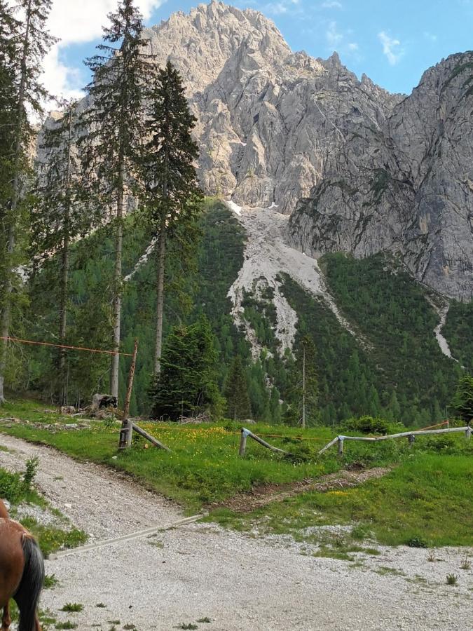 Appartamenti Patrizia San Pietro di Cadore Exteriér fotografie